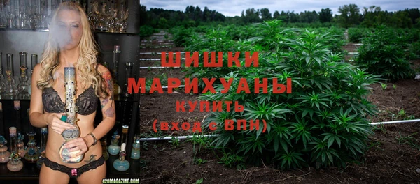 дживик Бронницы