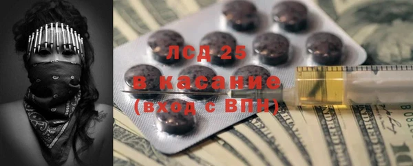 дживик Бронницы