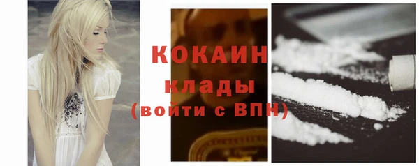 дживик Бронницы