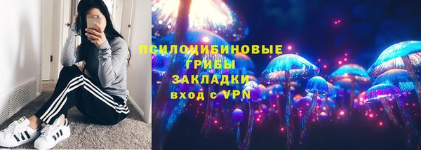 амф Богородск