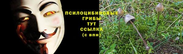 амф Богородск