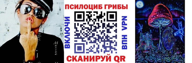 это как зайти  Кингисепп  Псилоцибиновые грибы Cubensis 
